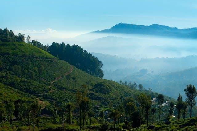 Nuwara Eliya: Ceylon Tea Country and Colonial Charm - Image 2