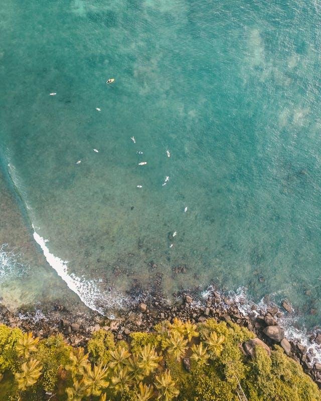 Mirissa: Paradise on Sri Lanka's Southern Coast - Image 4