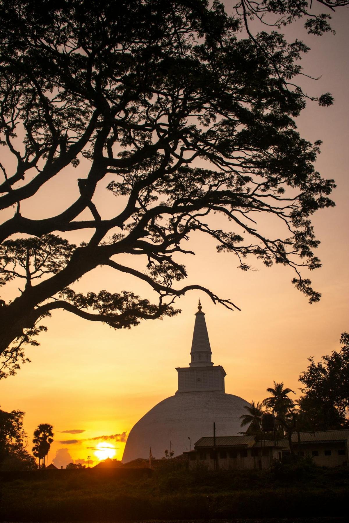 Anuradhapura: Sri Lanka's Sacred Ancient Capital - Image 3